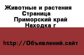  Животные и растения - Страница 4 . Приморский край,Находка г.